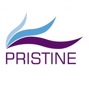 Pristine